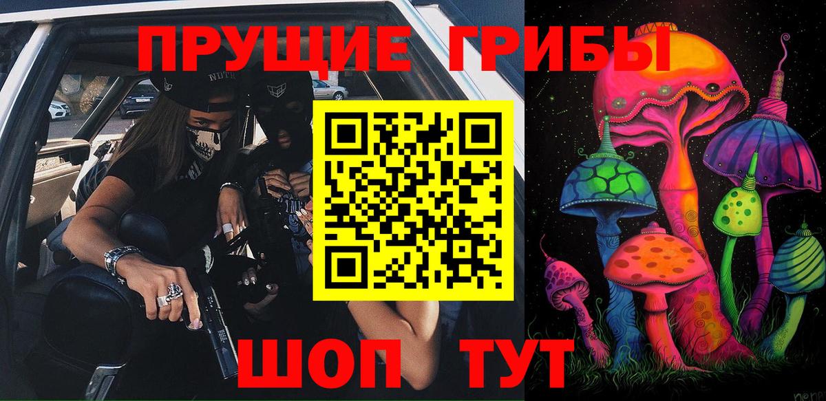 Псилоцибиновые грибы GOLDEN TEACHER Алексин