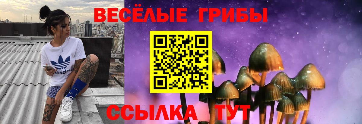 Алексин  Псилоцибиновые грибы Psilocybine cubensis  Вход с VPN  Псилоцибиновые грибы Cubensis 